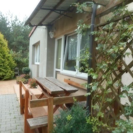 Przy Lesie Apartamento Nowe Exterior foto