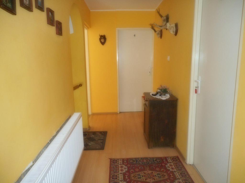 Przy Lesie Apartamento Nowe Exterior foto