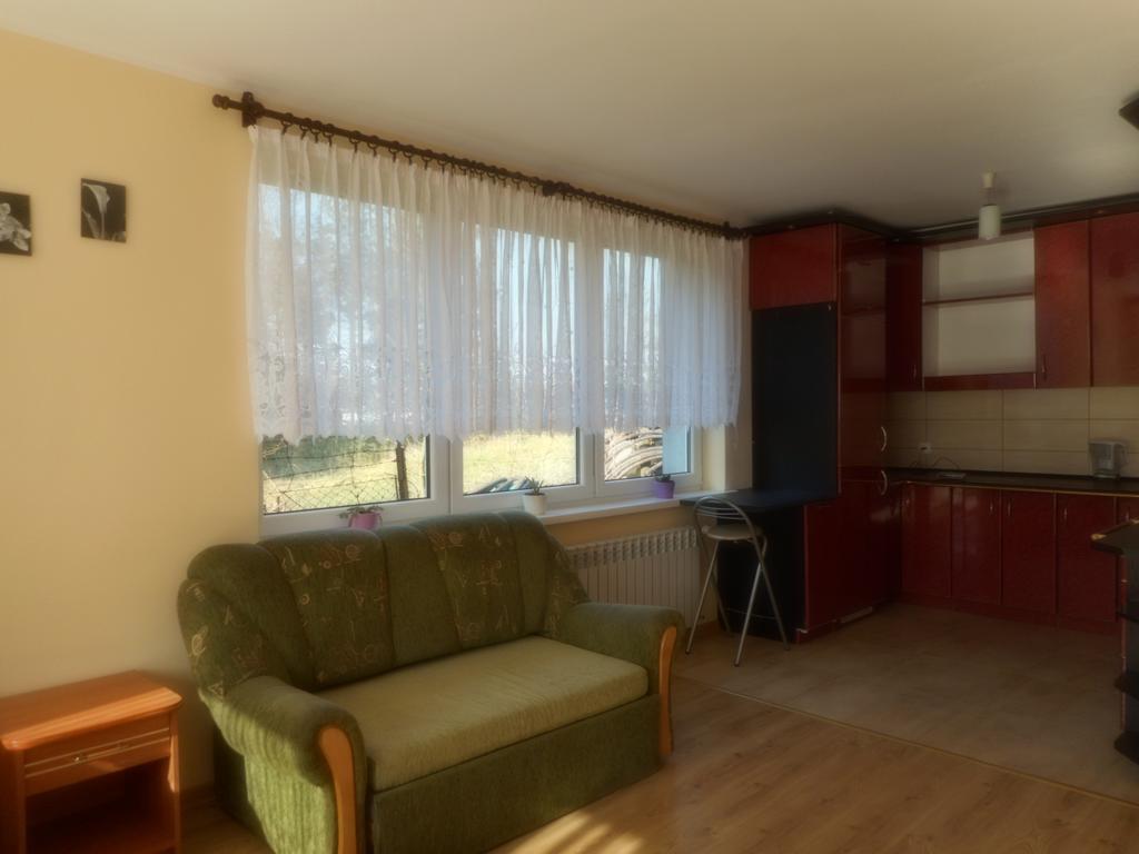 Przy Lesie Apartamento Nowe Exterior foto